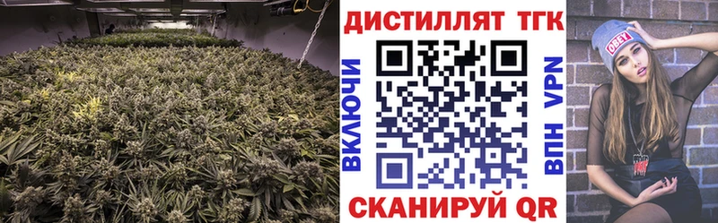 blacksprut как войти Монино Дистиллят ТГК вейп